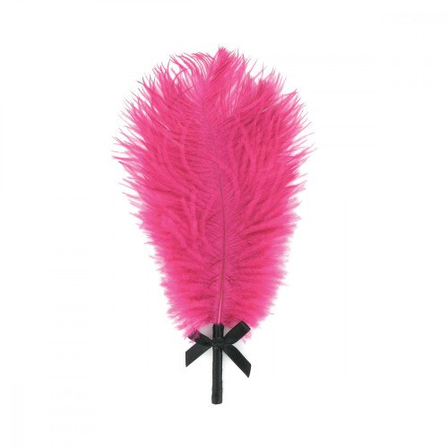 Front view of the Rianne S Kit D'Amour pink feather with satin handle