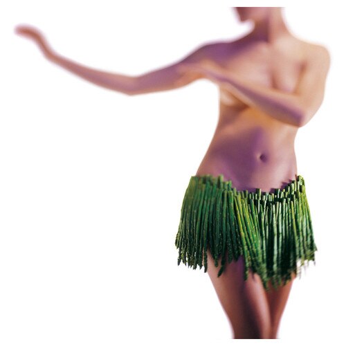 Erotic photography from The New Intercourses. A blurry image of a topless woman doing the hula with a skirt made of asparagus.