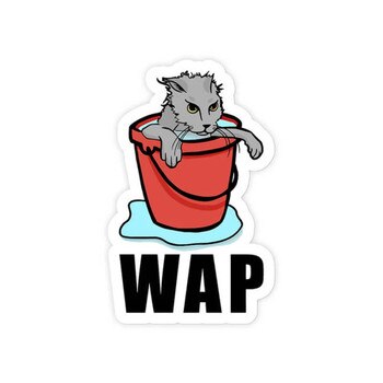 Front view of a pussy cat in a wet bucket sticker on a white background WAP
